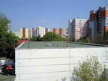 MŠ Pfiflova